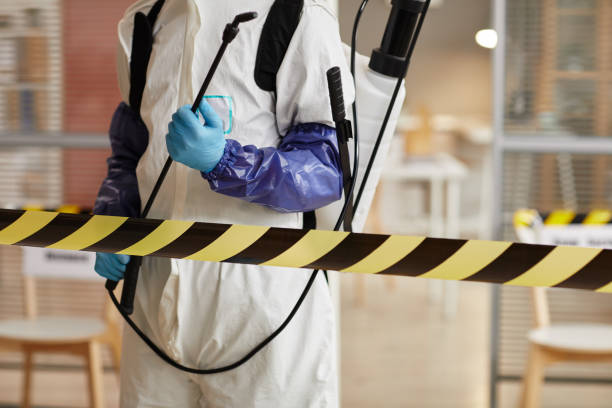 Professional Sewage Cleanup technician working in Greenfield, IA